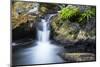 Cascade on Limekiln Creek, Limekiln State Park, Big Sur, California, Usa-Russ Bishop-Mounted Photographic Print