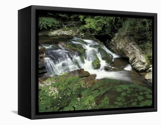 Cascade on Little River, Great Smoky Mountains National Park, Tennessee, USA-Adam Jones-Framed Stretched Canvas