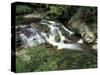 Cascade on Little River, Great Smoky Mountains National Park, Tennessee, USA-Adam Jones-Stretched Canvas