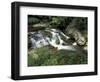 Cascade on Little River, Great Smoky Mountains National Park, Tennessee, USA-Adam Jones-Framed Photographic Print