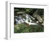 Cascade on Little River, Great Smoky Mountains National Park, Tennessee, USA-Adam Jones-Framed Photographic Print