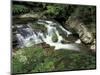 Cascade on Little River, Great Smoky Mountains National Park, Tennessee, USA-Adam Jones-Mounted Photographic Print