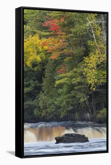 Cascade on Tahquamenon Falls, Tahquamenon Falls State Park, Michigan-Adam Jones-Framed Stretched Canvas