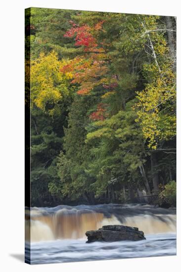 Cascade on Tahquamenon Falls, Tahquamenon Falls State Park, Michigan-Adam Jones-Stretched Canvas