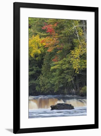 Cascade on Tahquamenon Falls, Tahquamenon Falls State Park, Michigan-Adam Jones-Framed Premium Photographic Print