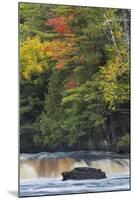 Cascade on Tahquamenon Falls, Tahquamenon Falls State Park, Michigan-Adam Jones-Mounted Premium Photographic Print