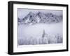 Cascade Range, Mt. Si after snowfall, King County, Washington, USA-Charles Gurche-Framed Premium Photographic Print
