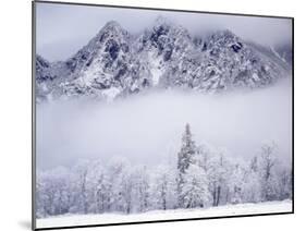 Cascade Range, Mt. Si after snowfall, King County, Washington, USA-Charles Gurche-Mounted Premium Photographic Print