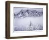 Cascade Range, Mt. Si after snowfall, King County, Washington, USA-Charles Gurche-Framed Photographic Print