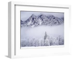 Cascade Range, Mt. Si after snowfall, King County, Washington, USA-Charles Gurche-Framed Photographic Print