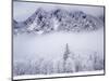 Cascade Range, Mt. Si after snowfall, King County, Washington, USA-Charles Gurche-Mounted Photographic Print