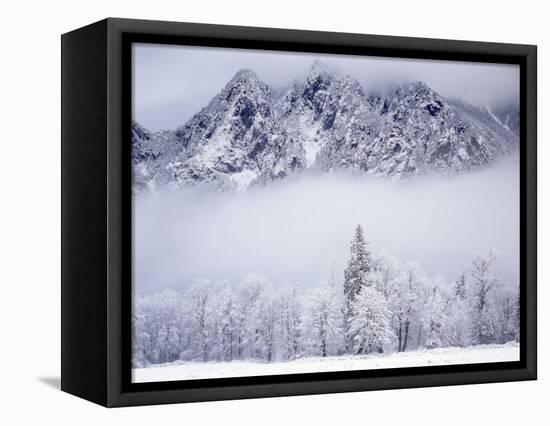 Cascade Range, Mt. Si after snowfall, King County, Washington, USA-Charles Gurche-Framed Stretched Canvas