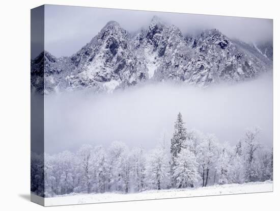 Cascade Range, Mt. Si after snowfall, King County, Washington, USA-Charles Gurche-Stretched Canvas