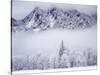 Cascade Range, Mt. Si after snowfall, King County, Washington, USA-Charles Gurche-Stretched Canvas