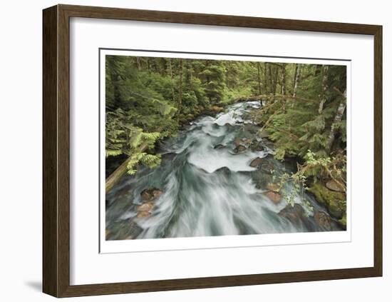 Cascade River North Fork-Donald Paulson-Framed Giclee Print