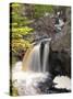 Cascade River State Park, Lutsen, Minnesota, USA-Peter Hawkins-Stretched Canvas