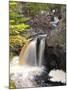 Cascade River State Park, Lutsen, Minnesota, USA-Peter Hawkins-Mounted Photographic Print