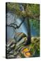 Cascade Tree-Vincent James-Stretched Canvas