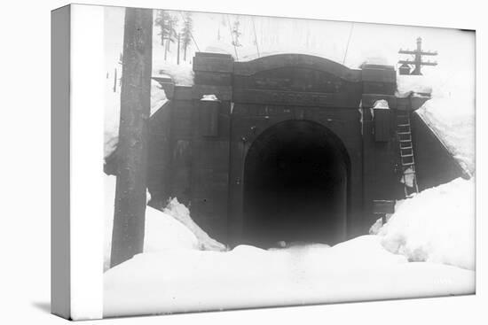 Cascade Tunnel, Near Stevens Pass, 1910-Ashael Curtis-Stretched Canvas