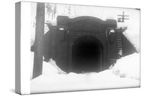 Cascade Tunnel, Near Stevens Pass, 1910-Ashael Curtis-Stretched Canvas