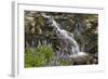 Cascade with Lupines, Iceland, Polar Regions-James-Framed Photographic Print