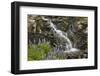 Cascade with Lupines, Iceland, Polar Regions-James-Framed Photographic Print