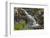 Cascade with Lupines, Iceland, Polar Regions-James-Framed Photographic Print