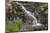Cascade with Lupines, Iceland, Polar Regions-James-Mounted Photographic Print