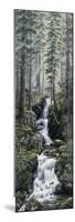 Cascade Wolves-Jeff Tift-Mounted Premium Giclee Print