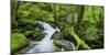 Cascade You Verneau, Nans-Sous-Sainte-Anne, Doubs, France-Rainer Mirau-Mounted Photographic Print