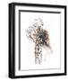 Cascade-Kiran Patel-Framed Art Print