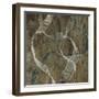 Cascade-Todd Hamilton-Framed Art Print