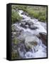 Cascades, American Basin, Uncompahgre National Forest, Colorado, USA-James Hager-Framed Stretched Canvas