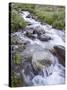 Cascades, American Basin, Uncompahgre National Forest, Colorado, USA-James Hager-Stretched Canvas