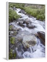 Cascades, American Basin, Uncompahgre National Forest, Colorado, USA-James Hager-Framed Photographic Print