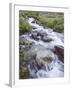 Cascades, American Basin, Uncompahgre National Forest, Colorado, USA-James Hager-Framed Photographic Print