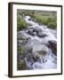 Cascades, American Basin, Uncompahgre National Forest, Colorado, USA-James Hager-Framed Photographic Print