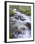 Cascades, American Basin, Uncompahgre National Forest, Colorado, USA-James Hager-Framed Photographic Print