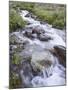 Cascades, American Basin, Uncompahgre National Forest, Colorado, USA-James Hager-Mounted Photographic Print