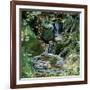 Cascades en sous-bois-Sylvia Audet-Framed Art Print