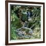 Cascades en sous-bois-Sylvia Audet-Framed Art Print