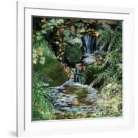 Cascades en sous-bois-Sylvia Audet-Framed Art Print