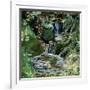Cascades en sous-bois-Sylvia Audet-Framed Art Print