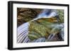 Cascades in Baring Creek in Glacier National Park, USA-Chuck Haney-Framed Photographic Print