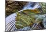 Cascades in Baring Creek in Glacier National Park, USA-Chuck Haney-Mounted Photographic Print