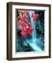 Cascades National Park, WA-David Carriere-Framed Photographic Print