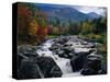 Cascades on Ausable River-James Randklev-Stretched Canvas