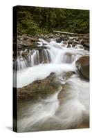 Cascades on Deception Creek, Mount Baker-Snoqualmie National Forest, Washington, U.S.A.-James Hager-Stretched Canvas