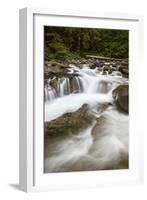 Cascades on Deception Creek, Mount Baker-Snoqualmie National Forest, Washington, U.S.A.-James Hager-Framed Photographic Print