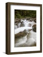 Cascades on Deception Creek, Mount Baker-Snoqualmie National Forest, Washington, U.S.A.-James Hager-Framed Photographic Print